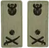 Brigadier General embossed badge