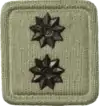 Lieutenant embossed badge