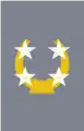 General de ejército(Chilean Army)