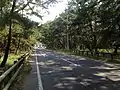 Approach road. The station is set within the Nijinomatsubara pine forest.