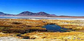 Salar de Huasco