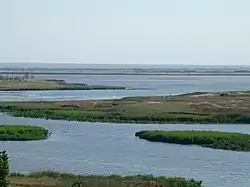 Landscape in Salsky District