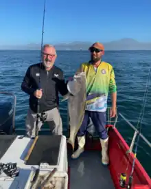 Dusky kob caught during a fishing charter in Mossel Bay