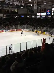 Sarnia Sting vs. Windsor Spitfires - January 2012