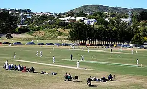 Playing cricket in Wilton