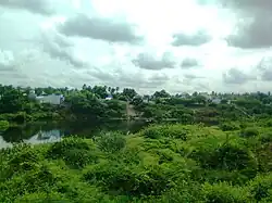 Bhavani River as seen from Savandapur with Athani on the other side