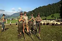 Image 3Herding sheep in Austria (from Alps)