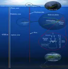 Schematic of a polymetallic nodule mining operation. From top to bottom, the three zoom-in panels illustrate the surface operation vessel, the midwater sediment plume, and the nodule collector operating on the seabed. The midwater plume comprises two stages: (i) the dynamic plume, in which the sediment-laden discharge water rapidly descends and dilutes to a neutral buoyancy depth, and (ii) the subsequent ambient plume that is advected by the ocean current and subject to background turbulence and settling.