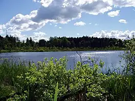 Hohe Burg and Schwarzer See Nature Reserve