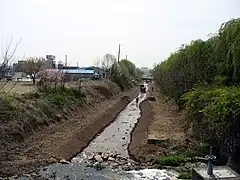 Looking downstream along the upper reaches, 2009