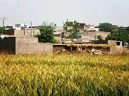 Seri-Bahlol Showing village view and agriculture land