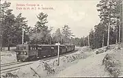 Train of the Seaside Sestroretsk railway near Sestroretsk