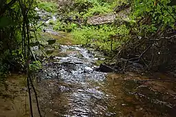 Poinsett State Park Historic District