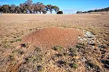 Mound near Bungendore