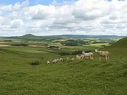 Rolling Lanarkshire countryside near Lanark