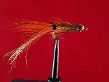 Shrimp fly variation