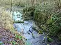 Siccaridge Wood Upper Lock 2 on Thames and Severn canal