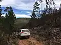 Effects of wildfires visible along the road in Parque Nacional Sierra de Bahoruco.