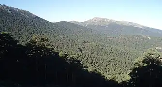 Valsaín Valley with the Siete Picos peak in the upper left and Montón de Trigo peak in the center.