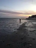 Silver Sands Beach at sunset in Milford