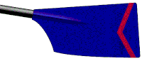 Image showing the rowing club's blade colours