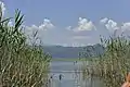 Lake Skadar, Montenegro