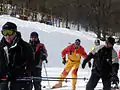 Skier in Tsaghkadzor