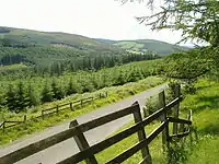 The Slieve Blooms