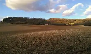 A brown farmer's field; in the background is an area of woodland.