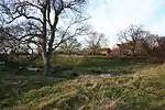 Somerton Castle and Outbuilding to North-west