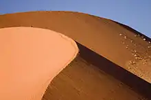 A typical dune in the park