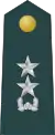 Junior general