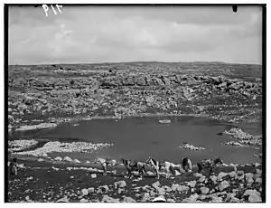 Library of Congress photograph of Carmel circa 1900 to 1926, showing run-off from natural spring