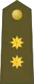 Teniente Coronel