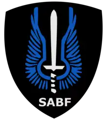 Special Airborne Force insignia