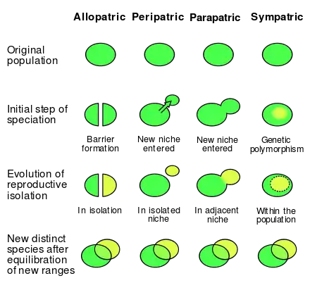 Image 6Comparison of allopatric, peripatric, parapatric and sympatric speciation (from Speciation)