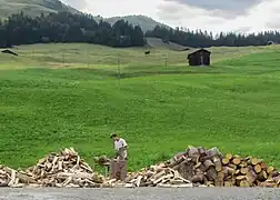 A resident of Tenna preparing firewood