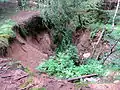 Meadow Shaft 1 Mass Grave