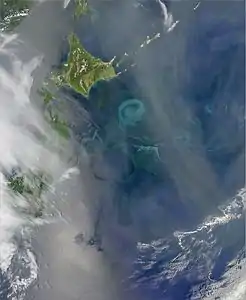 The Oyashio Current colliding with the Kuroshio Current off the coast of Hokkaido