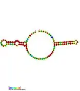 sraA:  Secondary structure taken from the Rfam database. Family RF02029