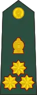 Brigadier(Sri Lanka Army)