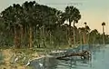 St. Johns River, c. 1910