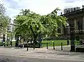 'Horizontalis', St Philip's Cathedral churchyard, Birmingham