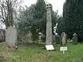 Fig. g10: St Teath cross