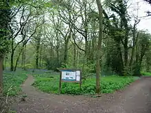 Staffhurst Wood, Lingfield