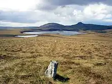 Photo of the standing stones