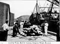 Loading frozen beef for London, Dalgety's wharf Brisbane