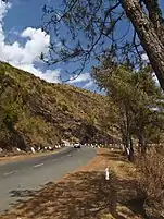 State Highway 5 near Cherapunjee, Meghalaya