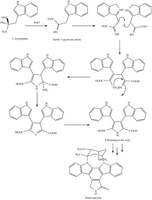 Staurosporine 2