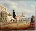 Stephen Butts on a white horse, Macquarie Street , Sydney (ca. 1850)